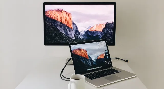 Dual monitor setup